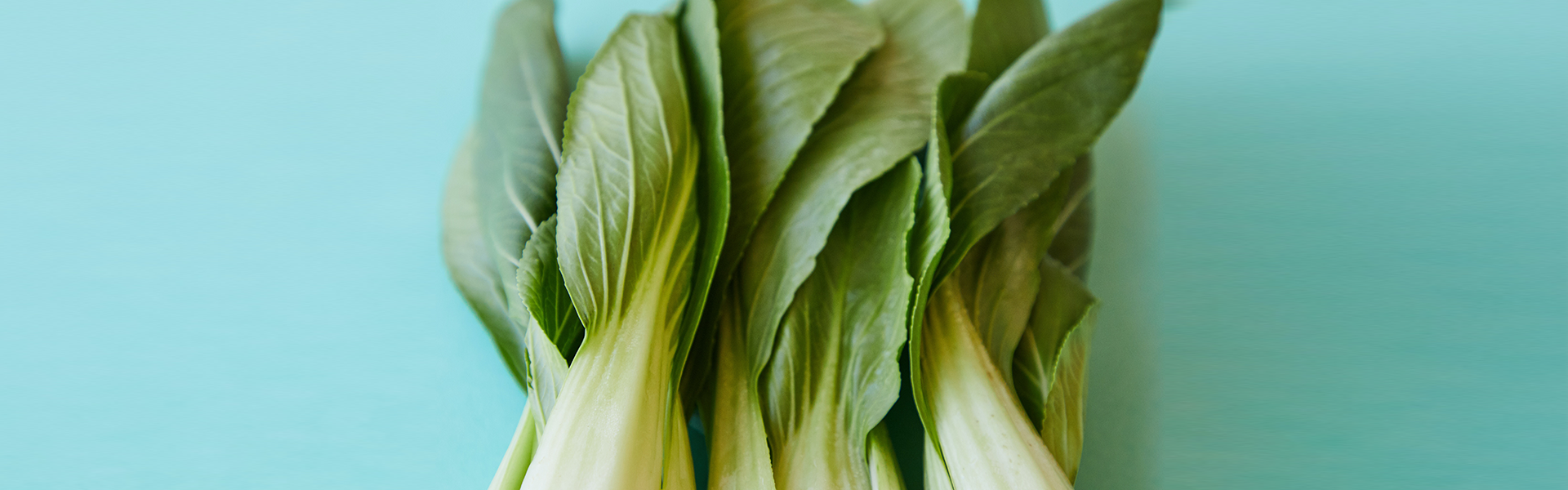 bok choy