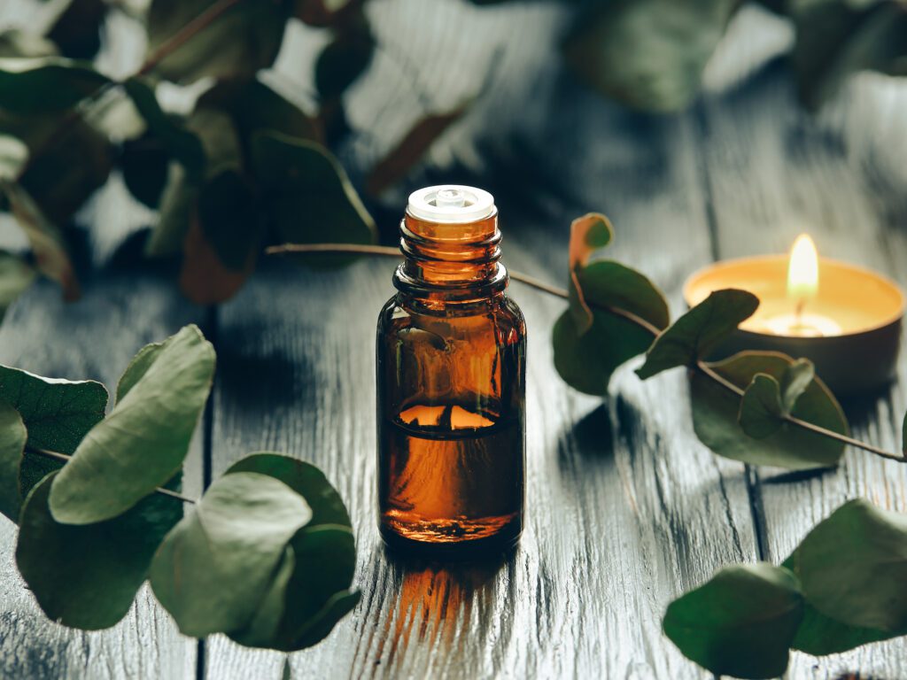 Eucalyptus oil and eucalyptus leaves